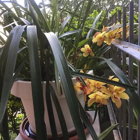 Relax Nel Tigullio *